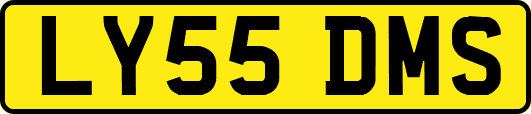 LY55DMS