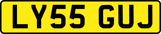 LY55GUJ