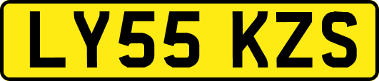 LY55KZS