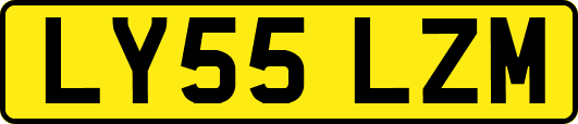 LY55LZM