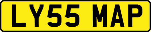 LY55MAP