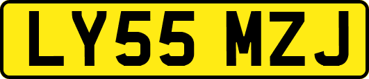 LY55MZJ