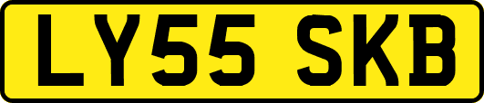 LY55SKB