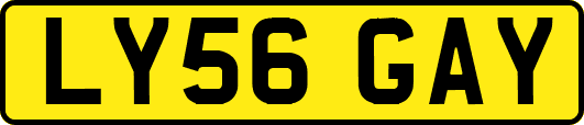 LY56GAY