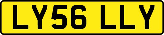 LY56LLY