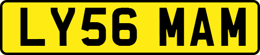 LY56MAM