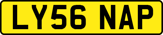 LY56NAP