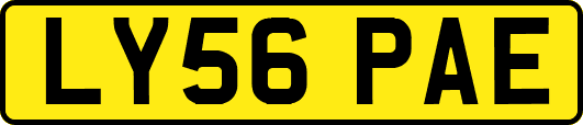LY56PAE