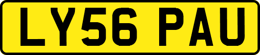 LY56PAU