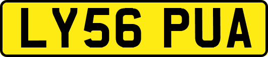 LY56PUA