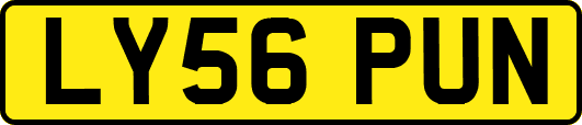 LY56PUN