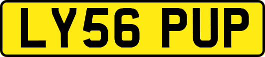 LY56PUP