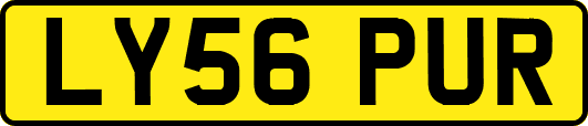 LY56PUR