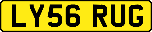 LY56RUG