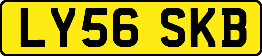 LY56SKB