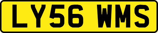 LY56WMS
