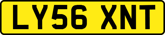 LY56XNT
