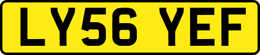 LY56YEF