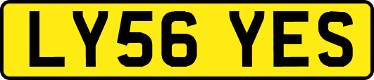 LY56YES