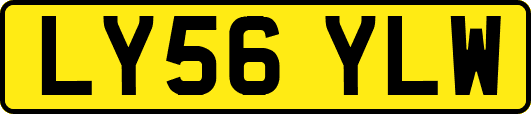 LY56YLW