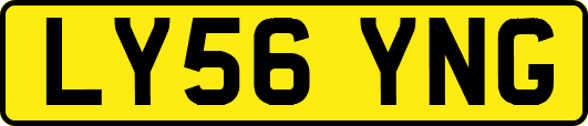 LY56YNG