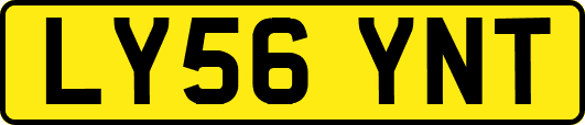 LY56YNT