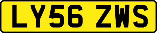 LY56ZWS