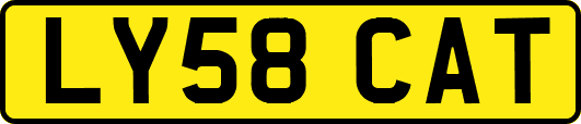LY58CAT
