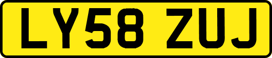 LY58ZUJ