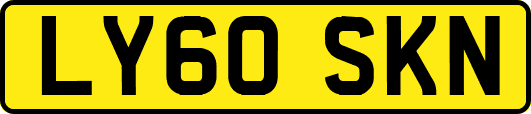 LY60SKN