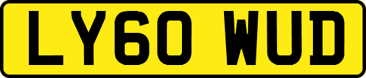 LY60WUD