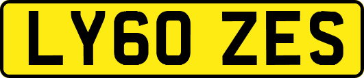 LY60ZES