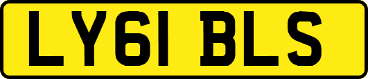 LY61BLS