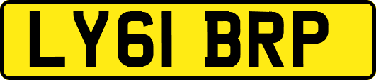 LY61BRP
