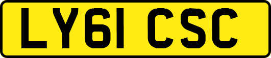 LY61CSC