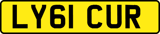 LY61CUR