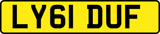 LY61DUF