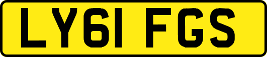 LY61FGS