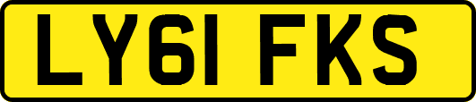 LY61FKS