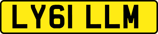 LY61LLM