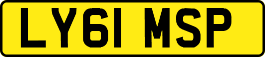 LY61MSP