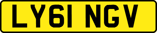 LY61NGV