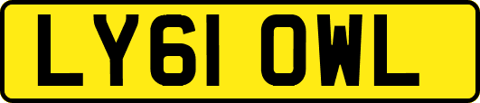 LY61OWL