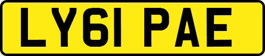 LY61PAE
