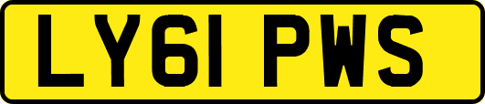 LY61PWS