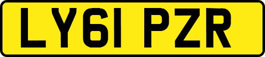 LY61PZR