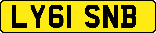 LY61SNB
