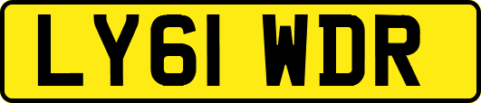 LY61WDR