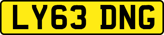 LY63DNG