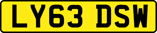 LY63DSW